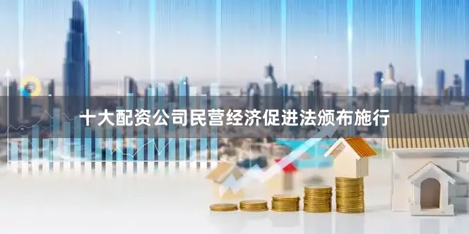 十大配资公司民营经济促进法颁布施行