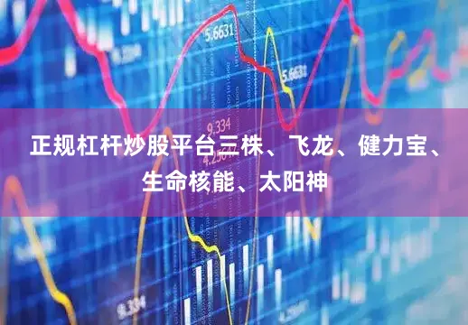 正规杠杆炒股平台三株、飞龙、健力宝、生命核能、太阳神