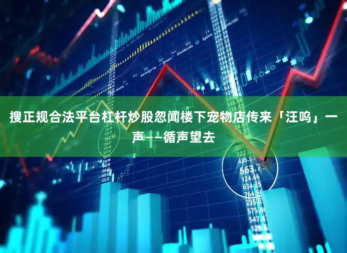 搜正规合法平台杠杆炒股忽闻楼下宠物店传来「汪呜」一声——循声望去