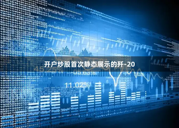 开户炒股首次静态展示的歼-20