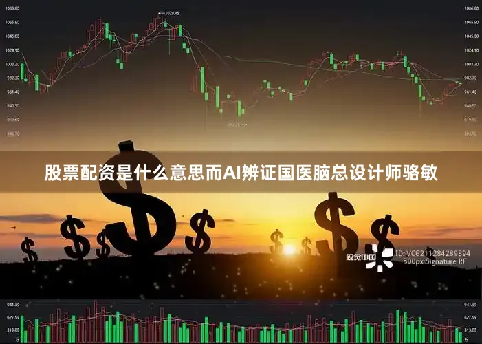 股票配资是什么意思而AI辨证国医脑总设计师骆敏